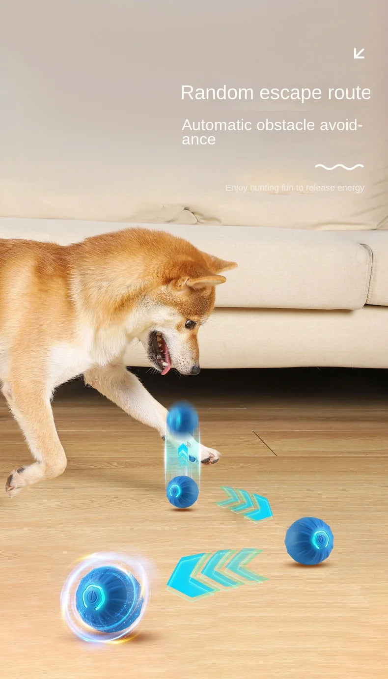 Automatic Smart Dog Toy Ball