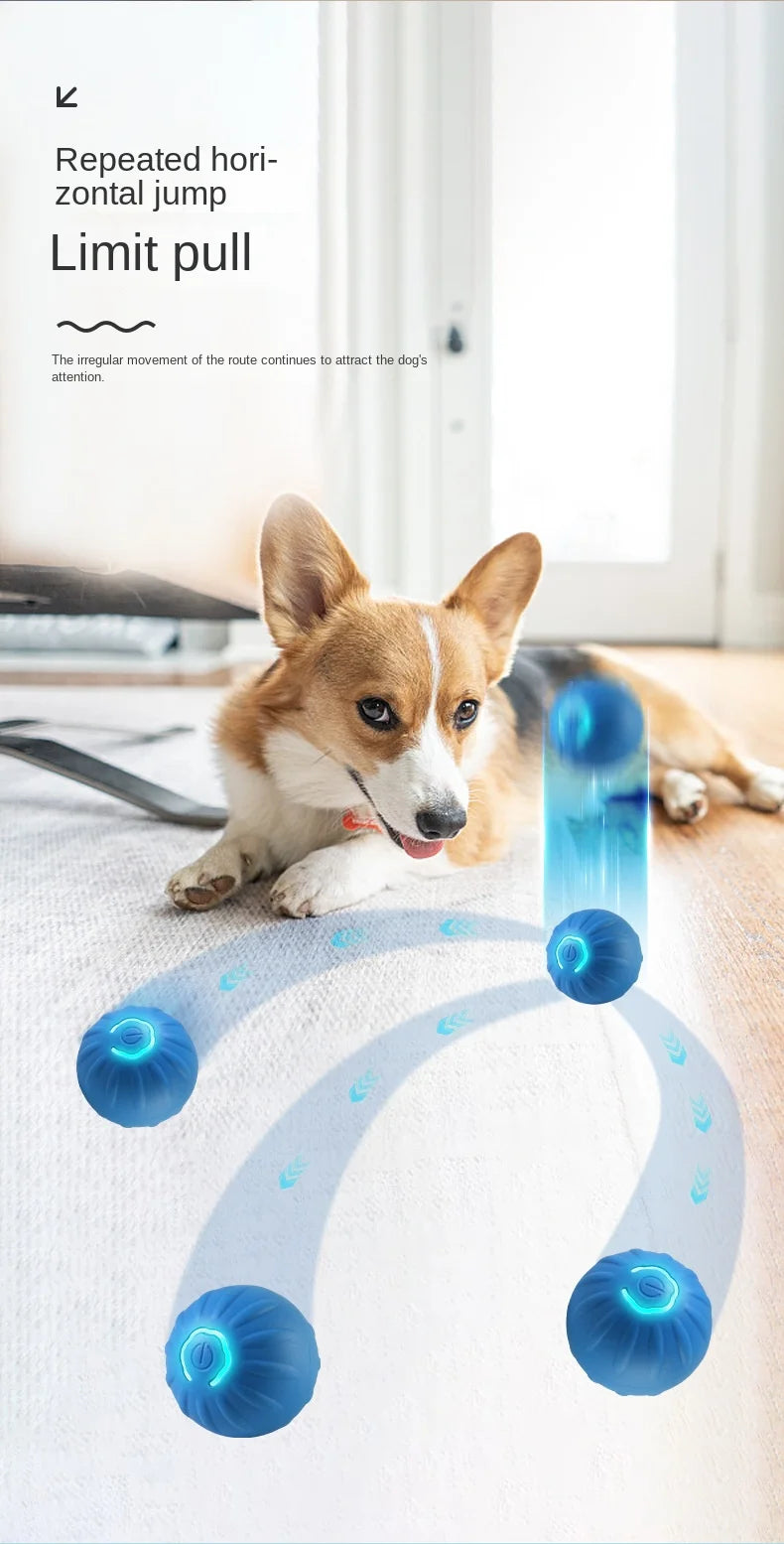 Automatic Smart Dog Toy Ball