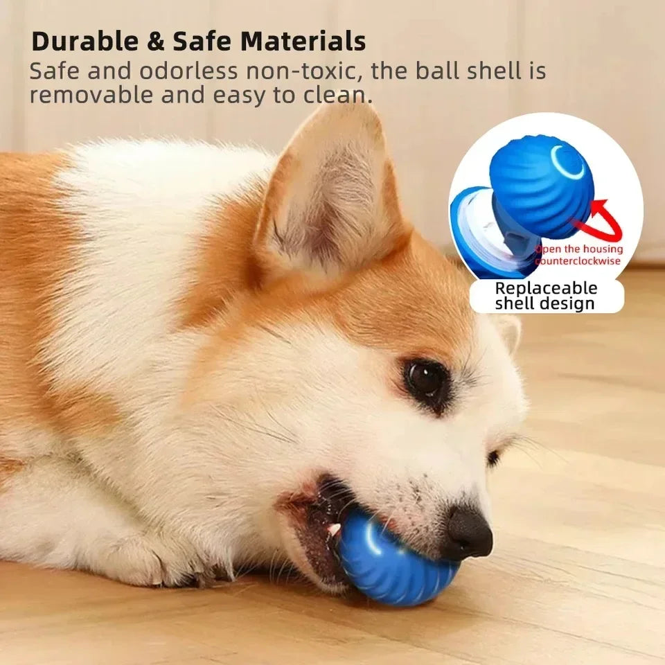 Automatic Smart Dog Toy Ball