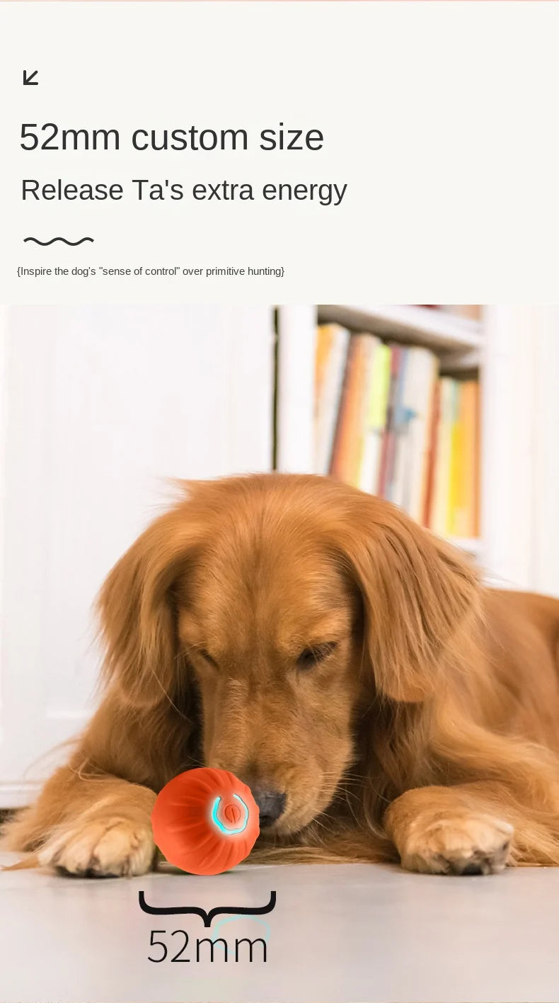 Automatic Smart Dog Toy Ball