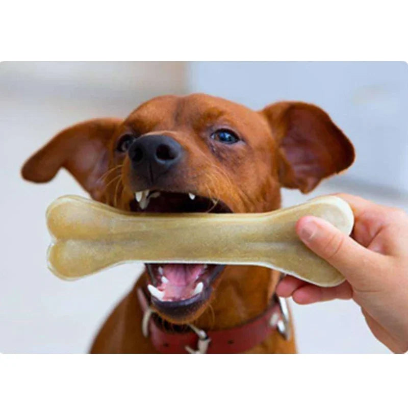 Durable Dog Chew Bone