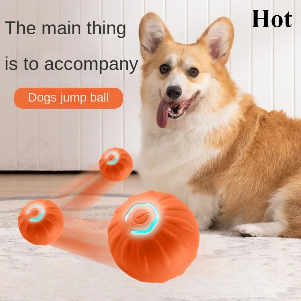 Automatic Smart Dog Toy Ball