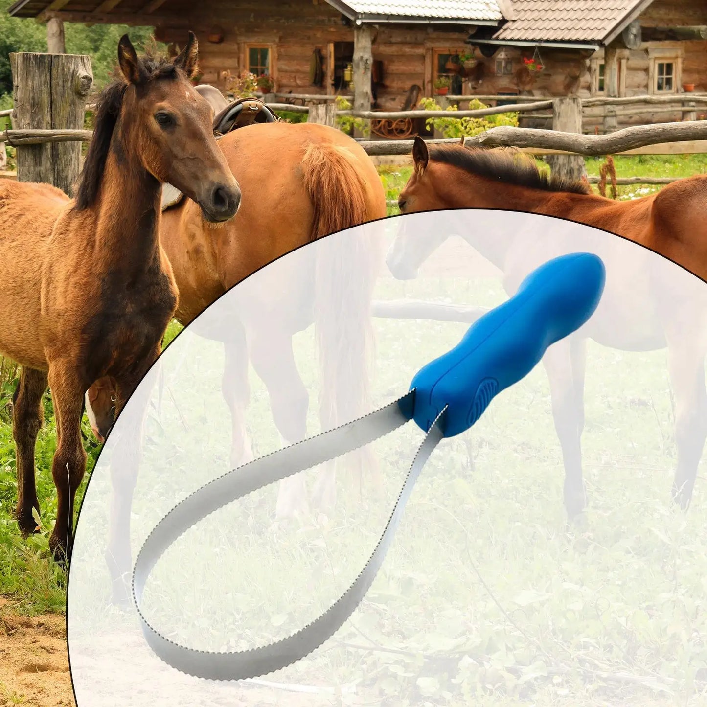 Horse Brush Scraper