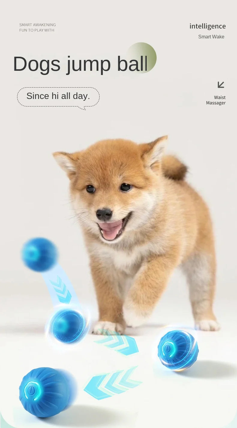 Automatic Smart Dog Toy Ball