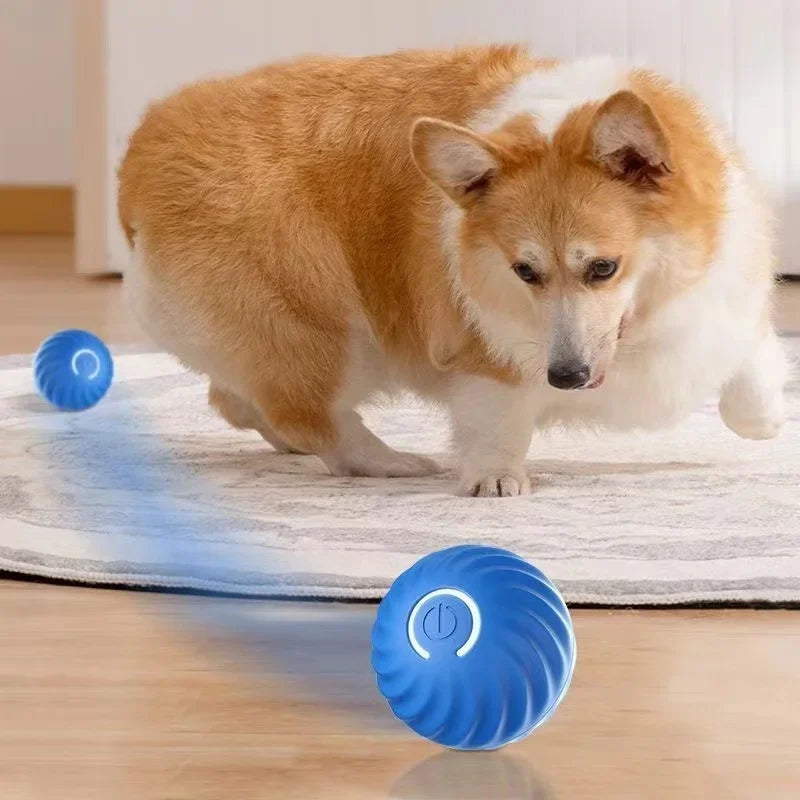 Automatic Smart Dog Toy Ball