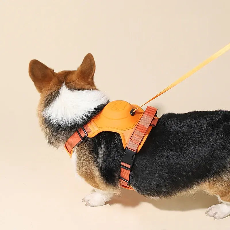 Automatic Retractable Dog Leash With Harness