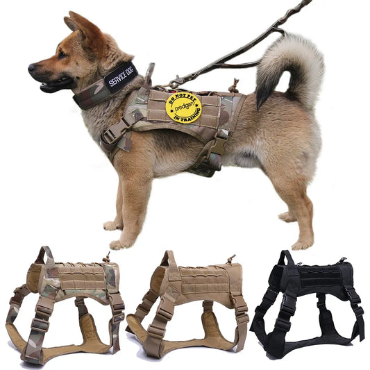 Nylon Tactical Dog Harness With Handle and Bungee Leash